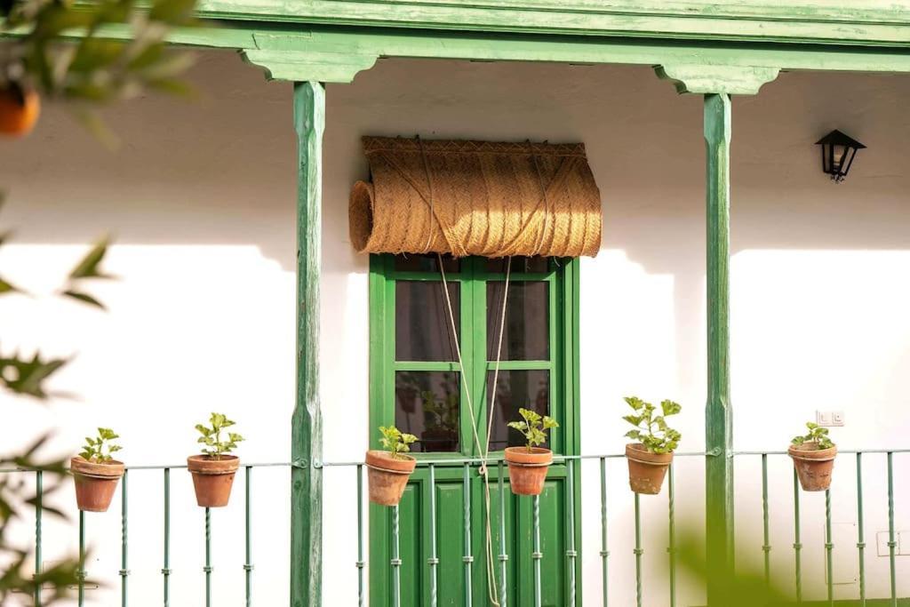 Apartamento A Estrenar En Calle Alcazares Seville Luaran gambar